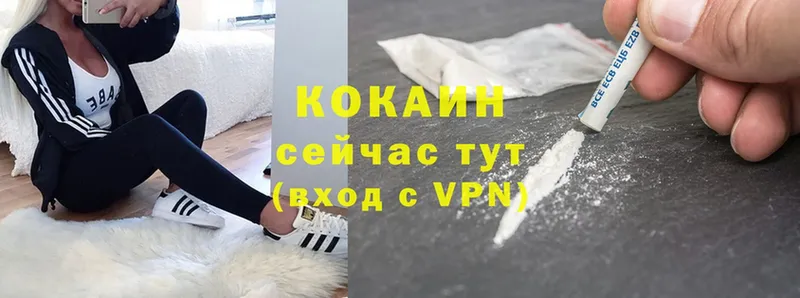 COCAIN Fish Scale  купить наркоту  Кизляр 